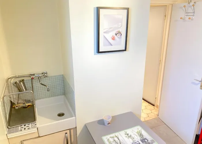 T2 Poitiers Benoit 20min Futuroscope Apartment